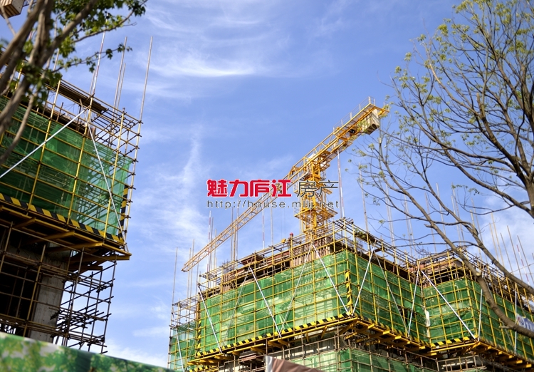 魅力庐江网实拍
