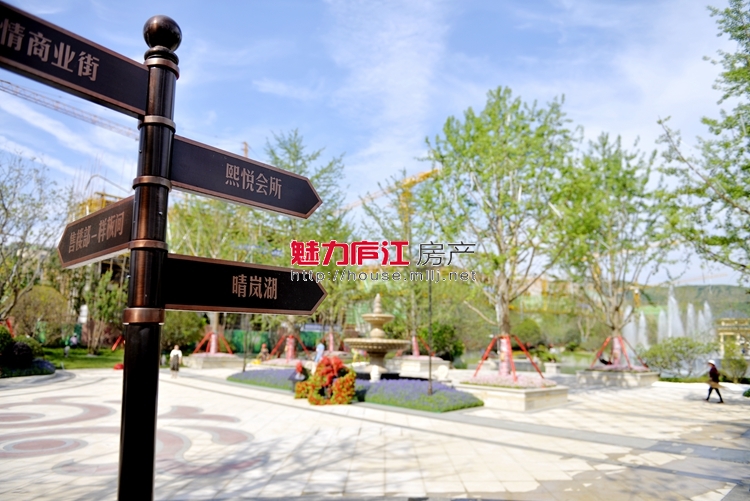 魅力庐江网实拍