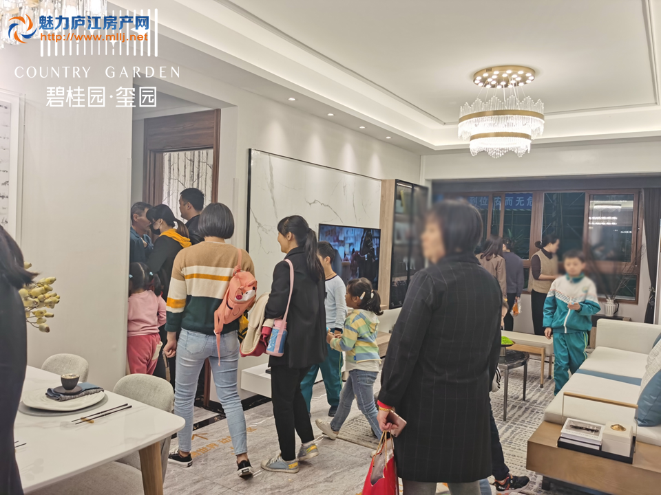 碧桂园·玺园实景图