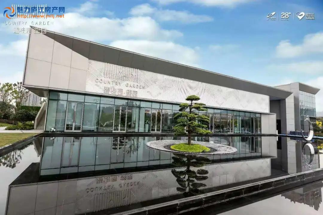 碧桂园·玺园实景图
